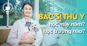 Bác sĩ thú y học mấy năm? Bác sĩ thú y học trường nào?