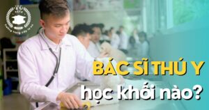 Ngành thú y là gì? Bác sĩ thú y học khối nào?