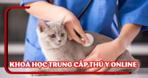 Khoá học Trung cấp Thú y online