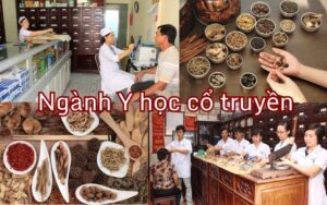 ngành y học cổ truyền