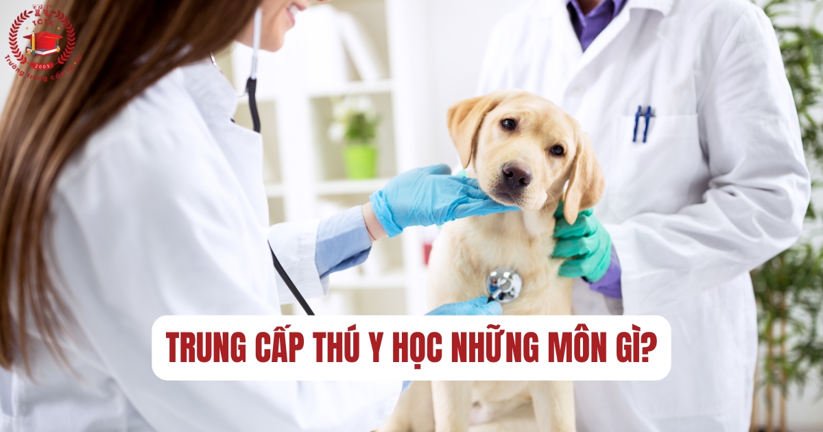 Trung cấp Thú y học những môn gì