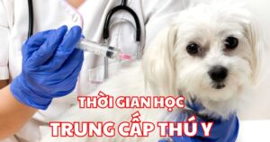 Thời gian học Trung cấp Thú y là bao nhiêu năm