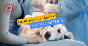 Các tố chất cần có khi học Trung cấp Thú y