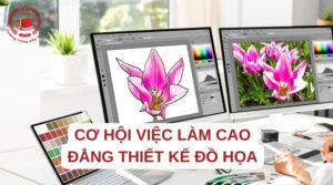 Cơ hội việc làm Cao đẳng Thiết kế đồ họa sau khi tốt nghiệp