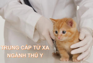 trung cấp ngành thú y