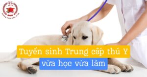 Tuyển sinh Trung cấp Thú y vừa học vừa làm