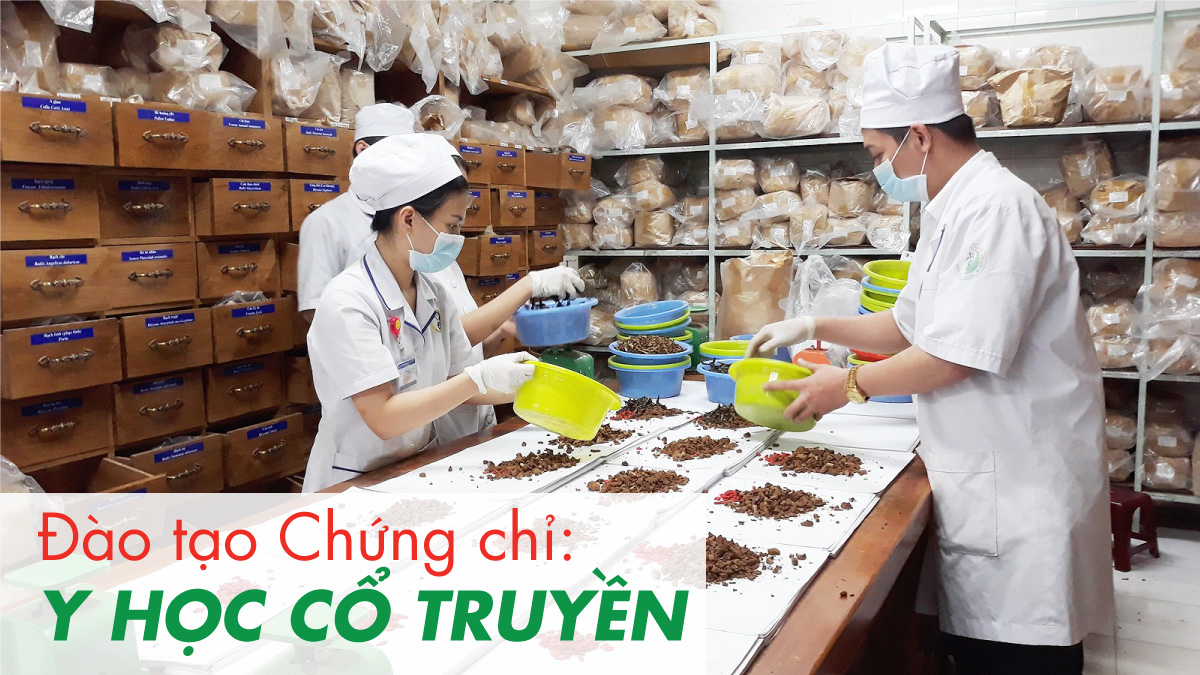 trung cấp ngành y học cổ truyền