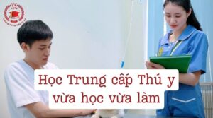 Học Trung cấp Thú y vừa học vừa làm