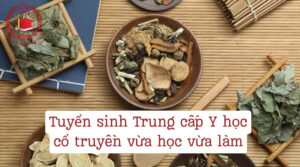 Tuyển sinh Trung cấp Y học cổ truyền vừa học vùa làm