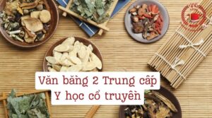 Văn bằng 2 Trung cấp Y học cổ truyền