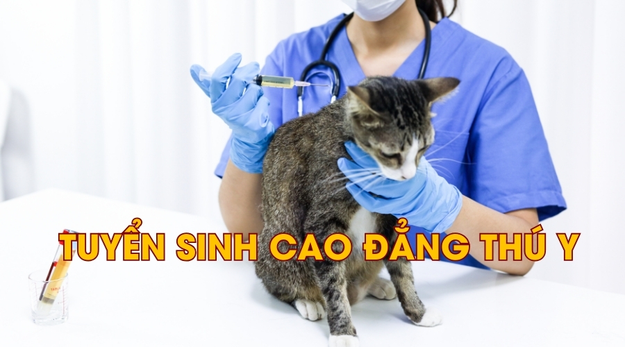 Tuyển sinh Cao đẳng Thú y chính quy