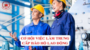 Cơ hội việc làm Trung cấp Bảo hộ lao động