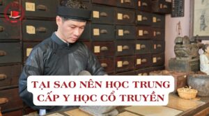 Tại sao nên học Trung cấp Y học cổ truyền?