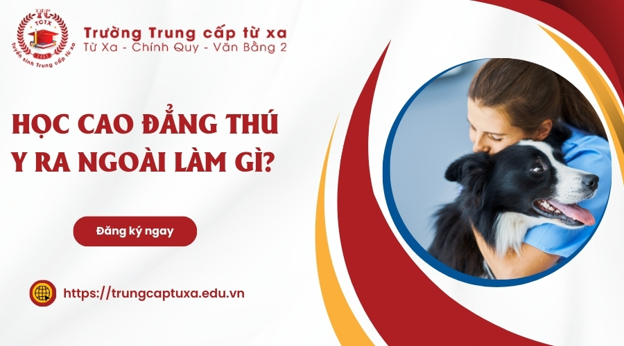 Học Cao đẳng Thú Y ra ngoài làm gì?