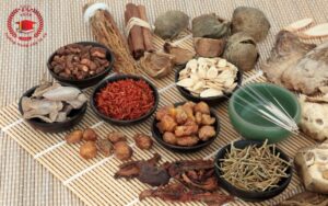 trung cấp y học cổ truyền