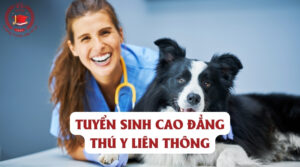 Cao đẳng thú Y liên thông