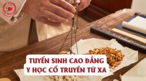 Tuyển sinh Cao đẳng Y học Cổ truyền từ xa