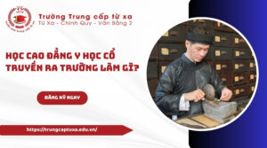 Học Cao đẳng Y học cổ truyền ra trường làm gì?