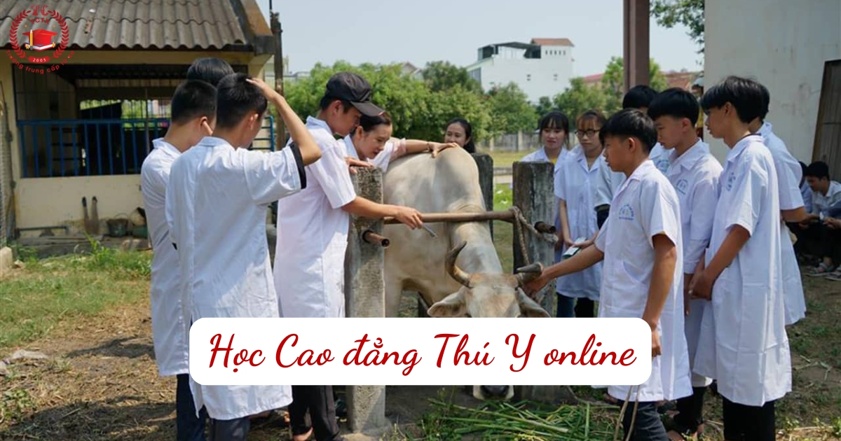 Học Cao đẳng Thú Y online