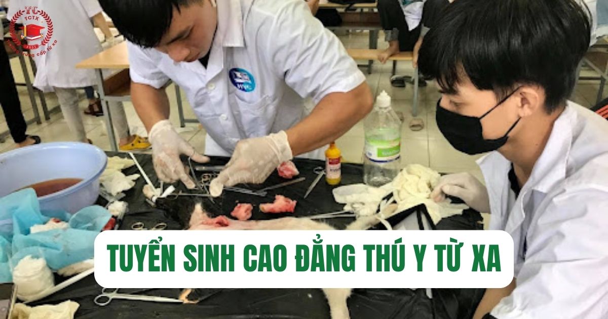 Tuyển sinh Cao đẳng Thú Y từ xa