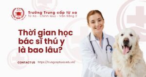 Học bác sĩ thú y cần bao nhiêu năm?
