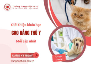 Giới thiệu Khóa học Cao đẳng Thú y mới cập nhật