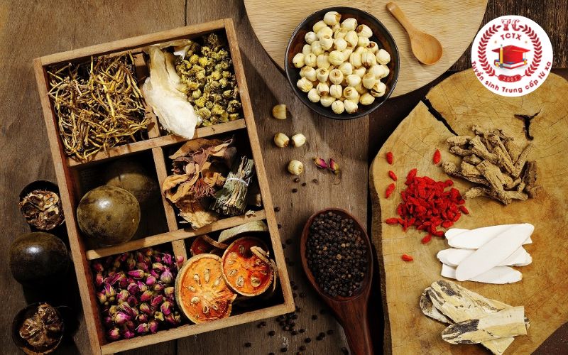 Bằng Trung cấp Y học cổ truyền