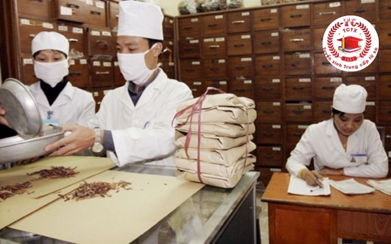 Chương trình học Trung cấp Y học cổ truyền
