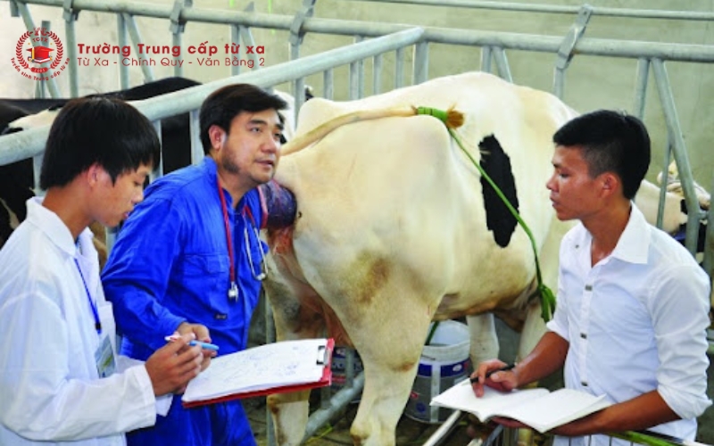 Cơ hội việc làm rộng mở sau khi tốt nghiệp