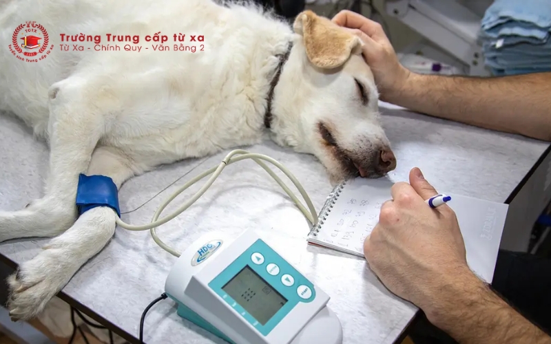 Đào tạo sát thực tế – Giảng dạy gắn với tay nghề
