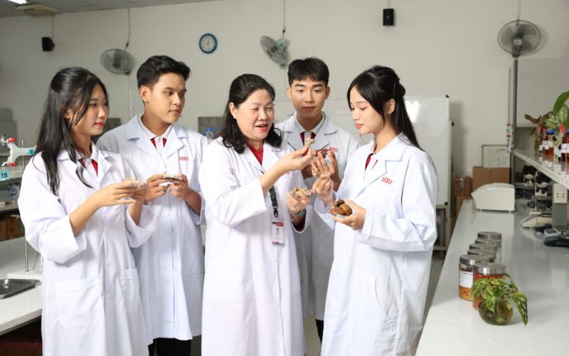Bằng Trung cấp Dược sĩ có giá trị không?