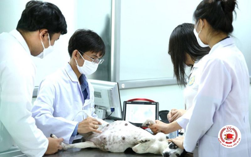 Giới thiệu chung về Trung cấp Thú Y