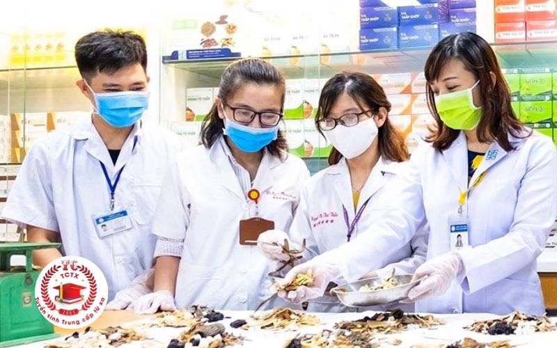Học phí liên thông Cao đẳng Y học cổ truyền có cao không?