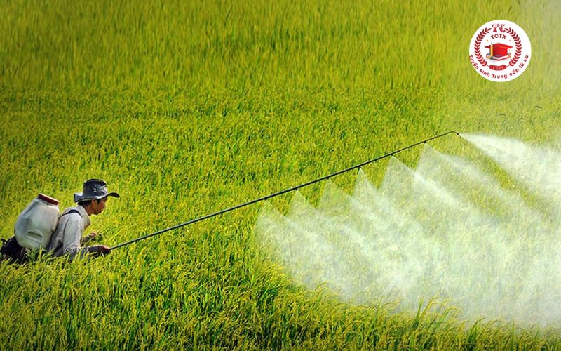 Học Trung cấp Trồng trọt bảo vệ thực vật ra trường làm gì?