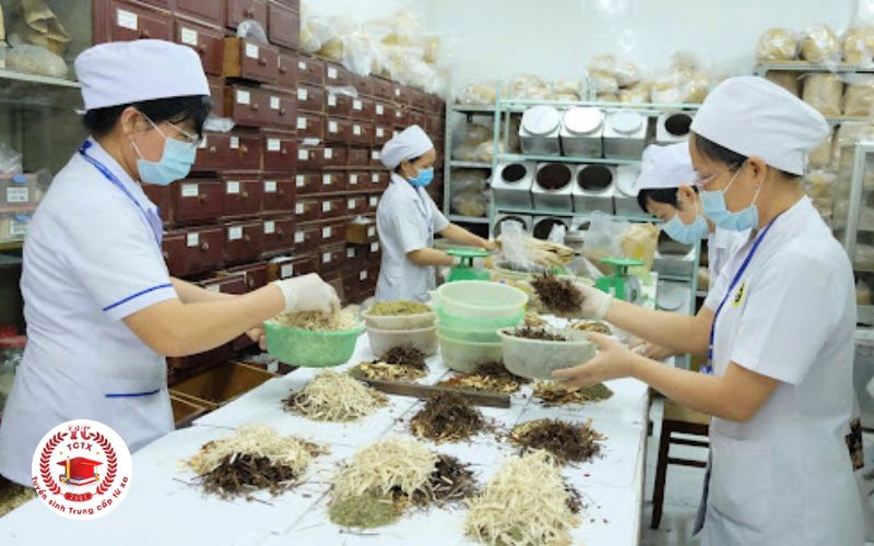 học Trung cấp Y sĩ Y học cổ truyền