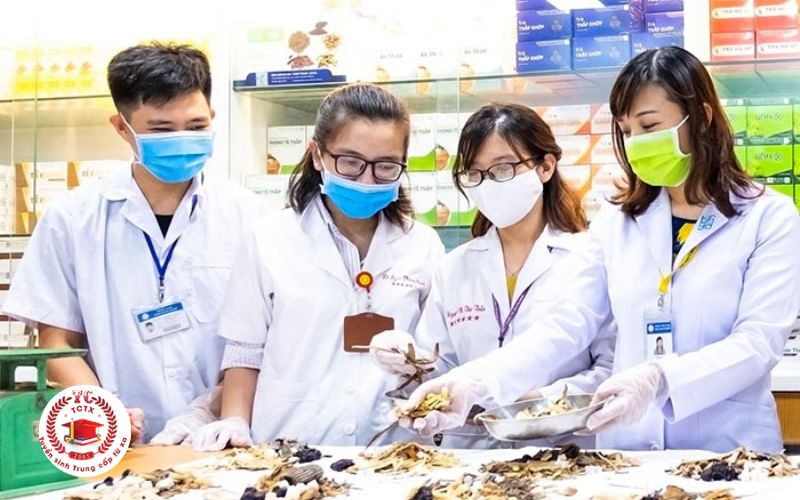 Lưu ý khi chọn trường đào tạo Trung cấp Y sĩ Y học cổ truyền