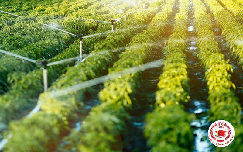 Mục tiêu đào tạo Trung cấp Trồng trọt bảo vệ thực vật