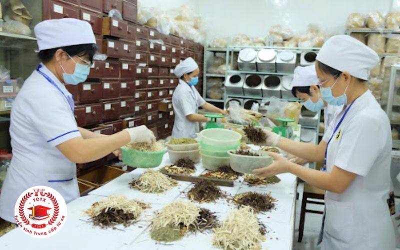Nên chọn trường nào để học liên thông Cao đẳng Y học cổ truyền?