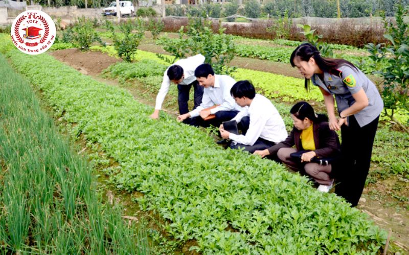 Tìm hiểu chung về Trung cấp Trồng trọt bảo vệ thực vật