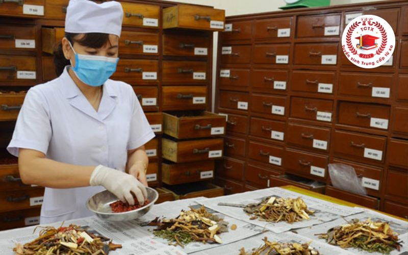 Vì sao nên học Liên thông Cao đẳng Y học cổ truyền?
