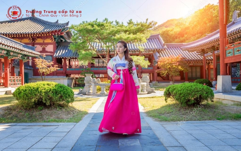 Vì sao nên chọn học Cao đẳng Tiếng Hàn Quốc