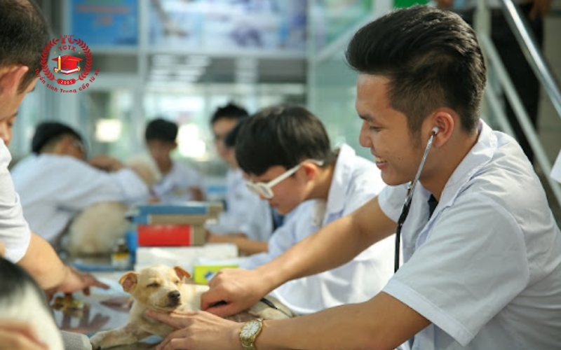 Chương trình khung Trung cấp Thú Y cấp tốc tại trường Trung cấp Từ Xa