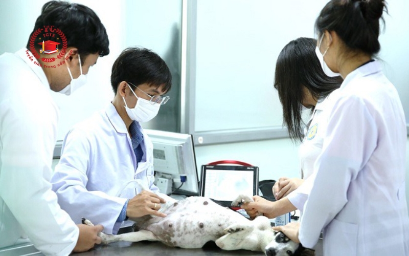 Thông tin tuyển sinh Trung cấp Thú Y cấp tốc tại Trung cấp Từ xa