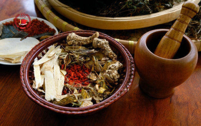 Tìm hiểu về chương trình học trung cấp Y học cổ truyền từ xa