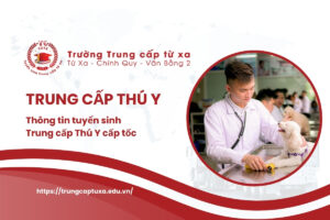 Trung cấp thú y cấp tốc