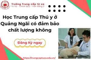Học Trung cấp Thú y ở Quảng Ngãi có đảm bảo chất lượng không