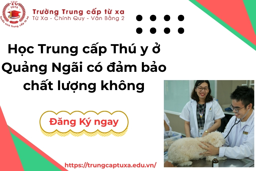 Học Trung cấp Thú y ở Quảng Ngãi có đảm bảo chất lượng không