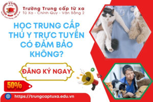 Học Trung cấp Thú y trực tuyến có đảm bảo không?