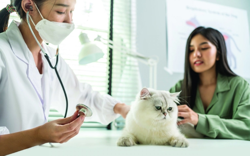 Những môn được học khi học Trung cấp Thú y trực tuyến