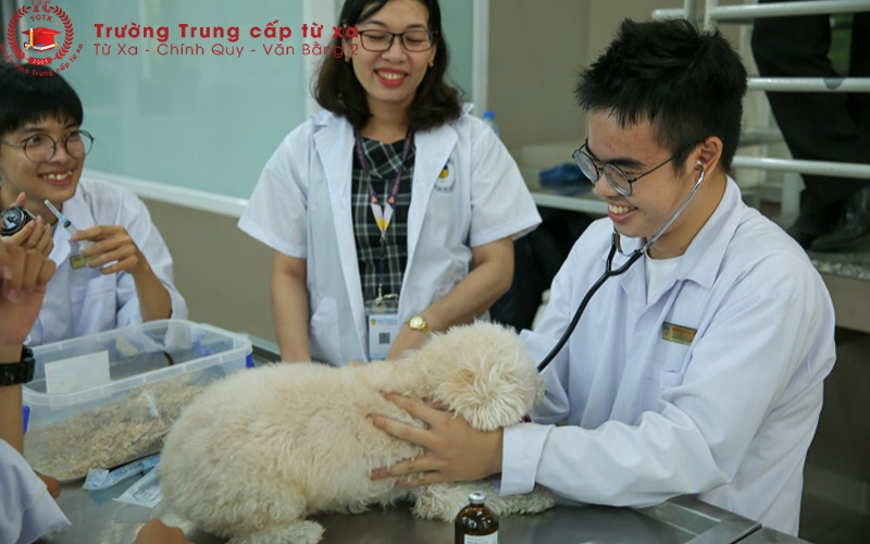 Ưu nhược điểm khi học Trung cấp Thú y